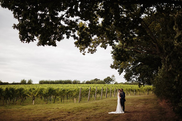 Bride and groom in a vineyard under a tree