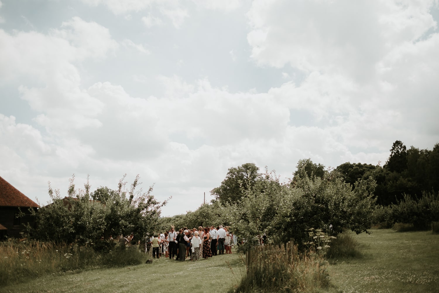 Wedding guests relaxing in an orchard